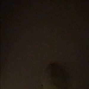 Meet your Posher, Ellie